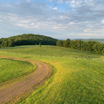 North Star Farm